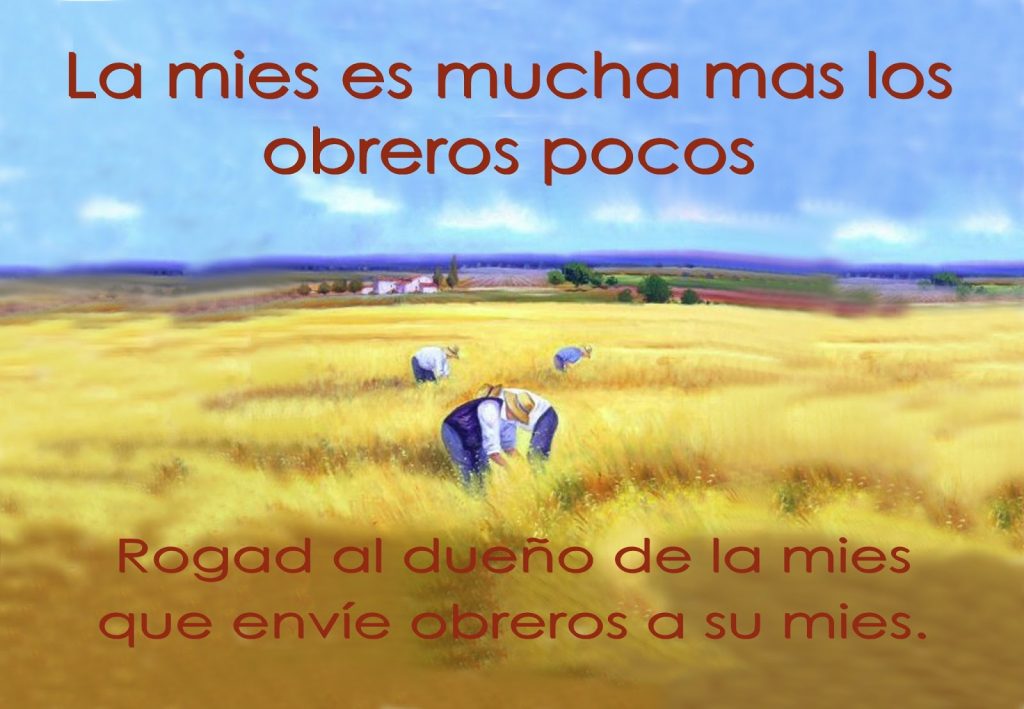 La Mies Es Mucha-web