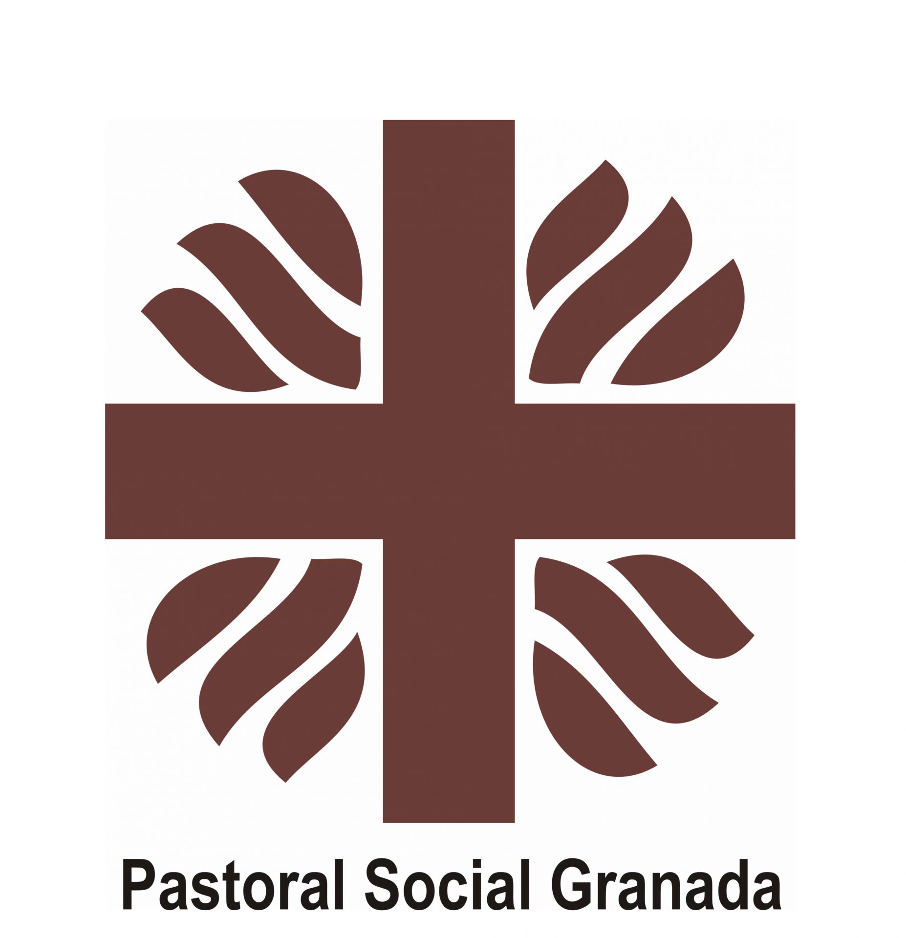 Comunicado de la Pastoral Social frente la Consulta popular - Diócesis de  Granada En Colombia