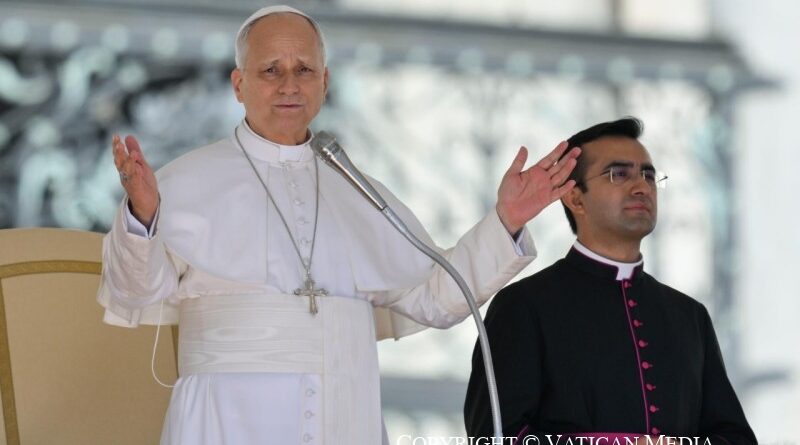 Papa León XIV: el trabajo y el progreso humano encuentran su plenitud en Dios